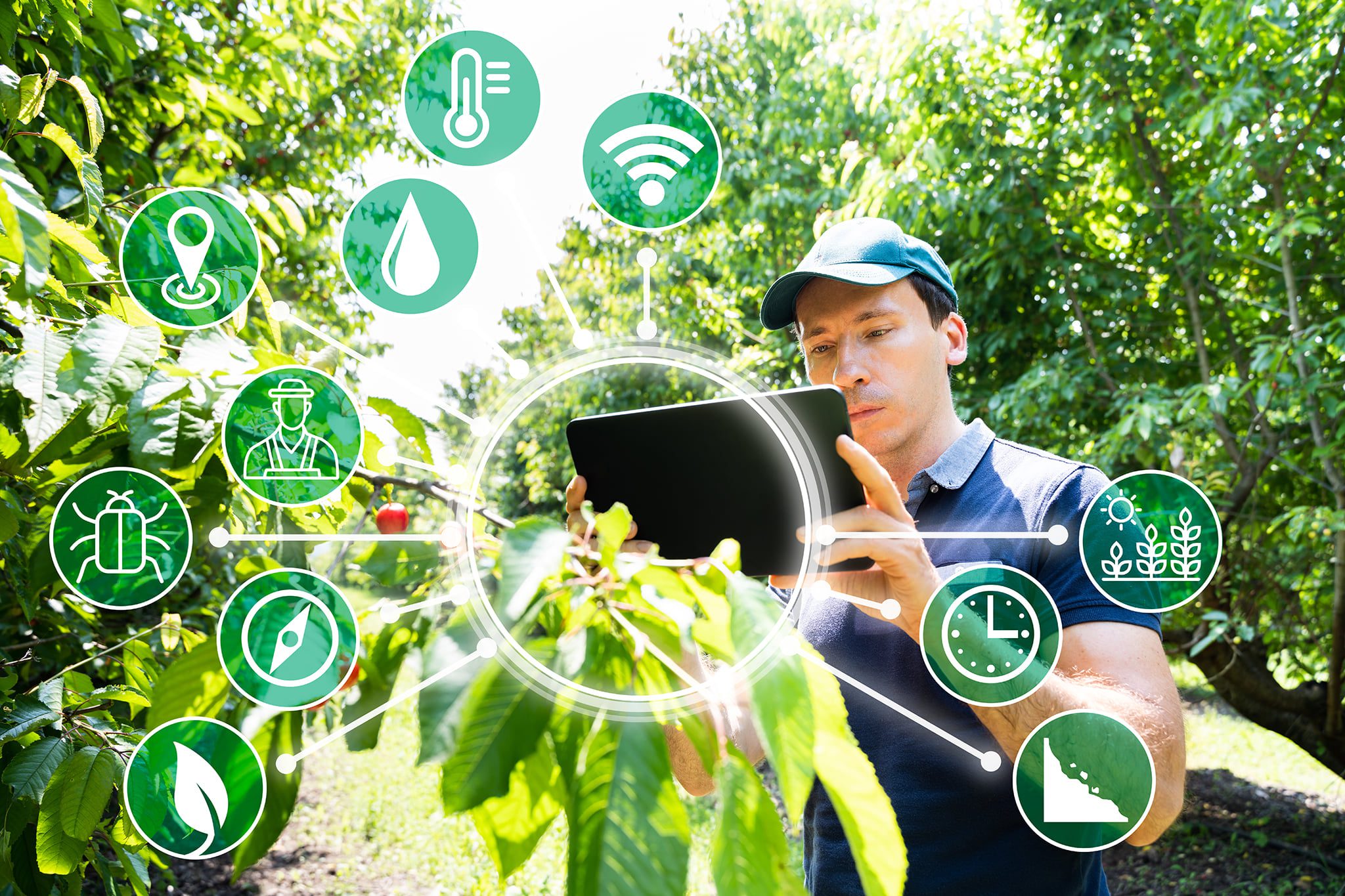 Smart Agriculture Graphic