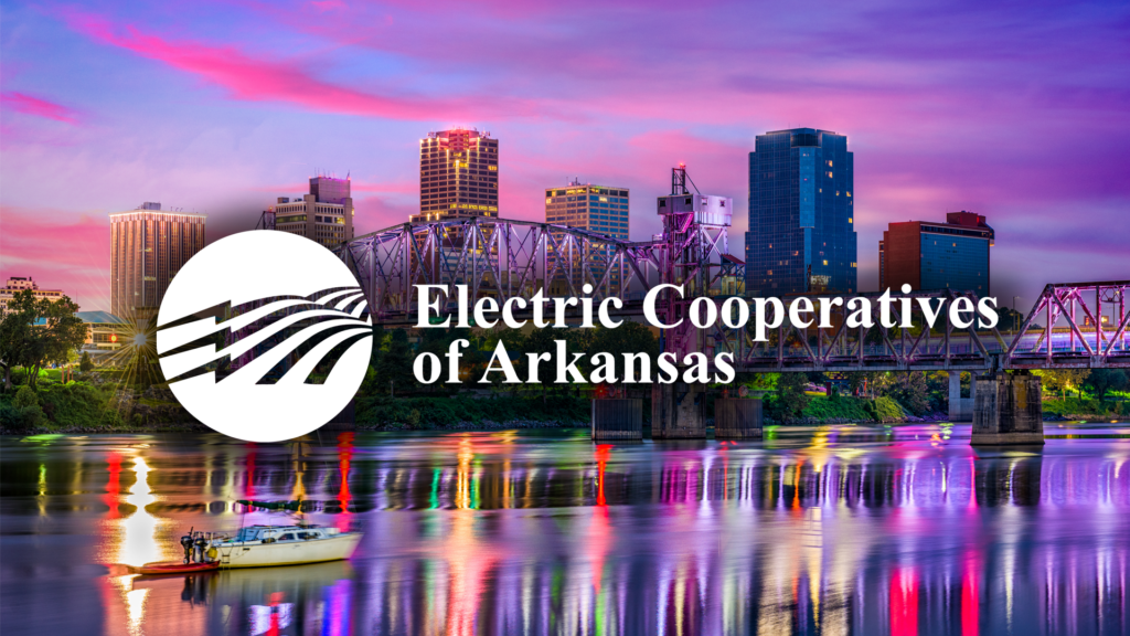 Arkansas Electric Cooperatives Directors Winter Conference National