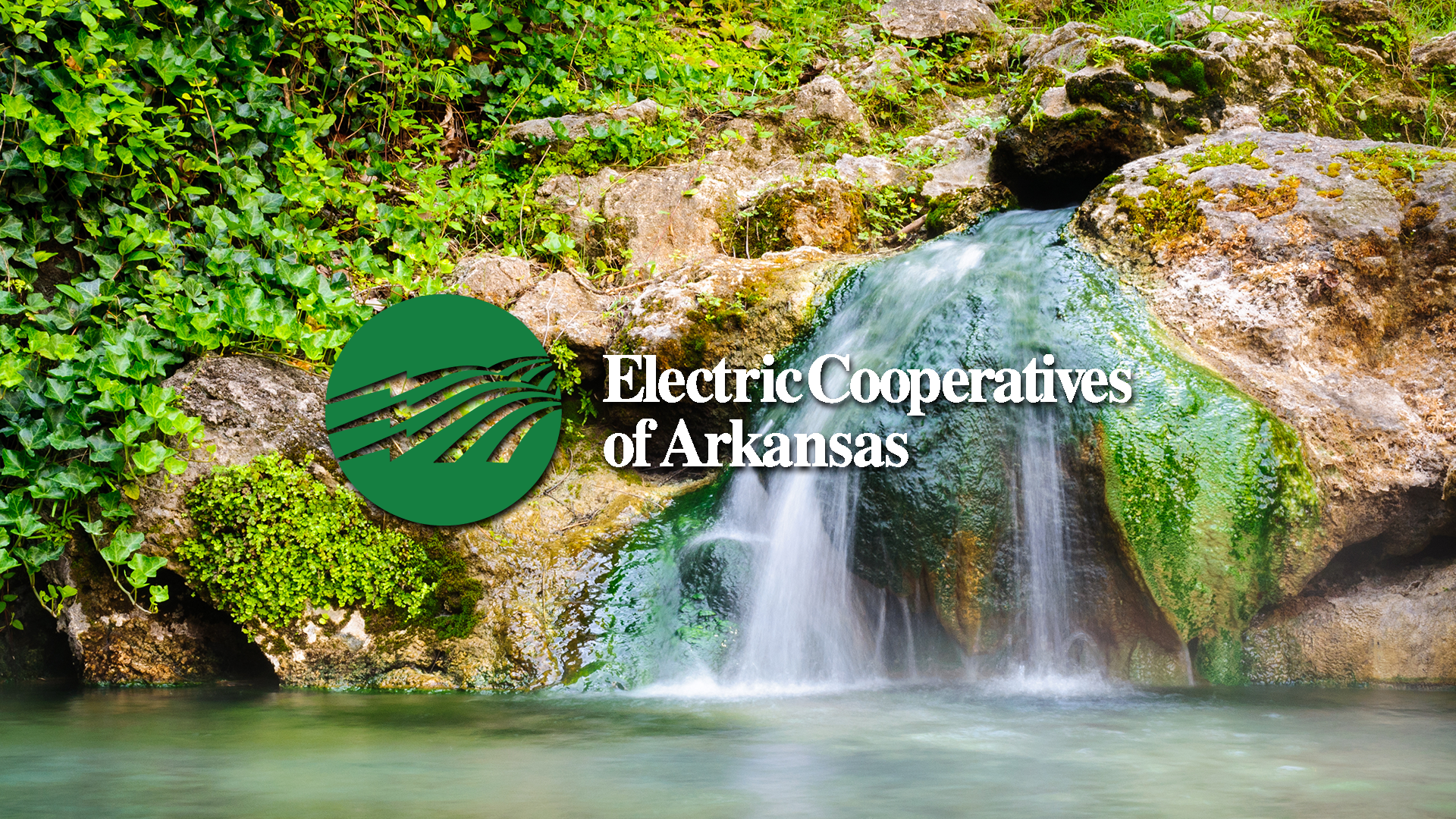Electric Cooperatives of Arkansas Director's Summer Meeting