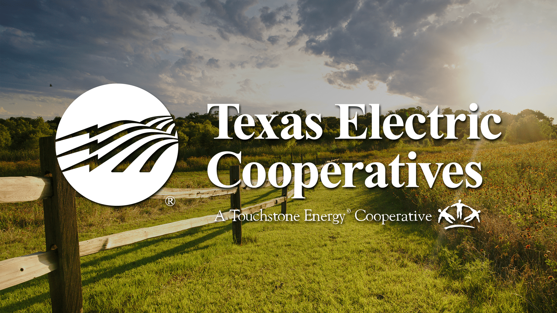 Texas Electric Cooperatives Engineering Conference, Frisco, TX