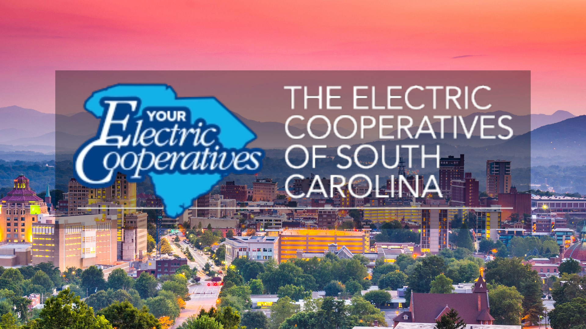 Electric Cooperatives of South Carolina Winter Conference, Asheville, NC