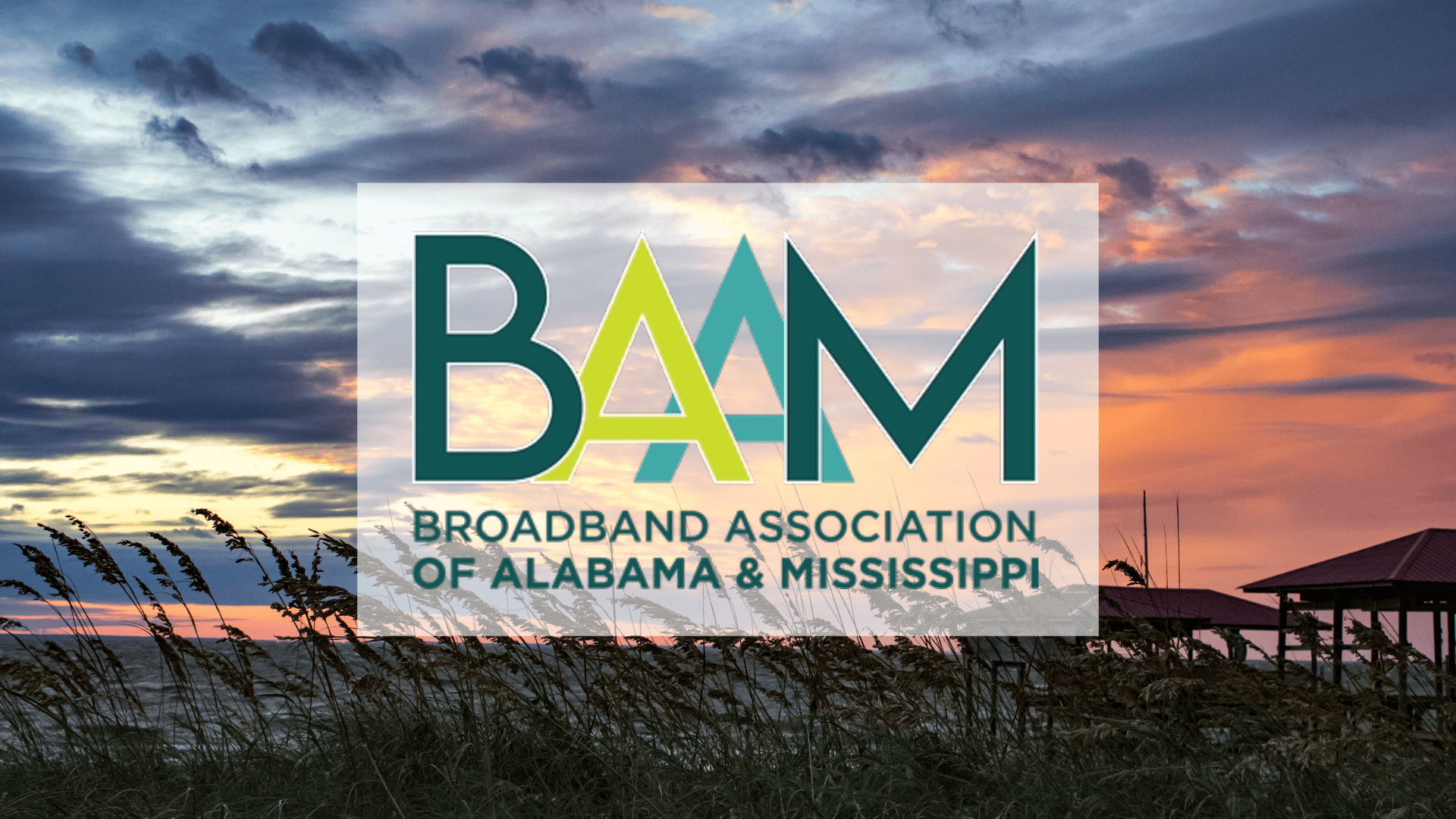BAAM (formerly TELSE) Annual Meeting